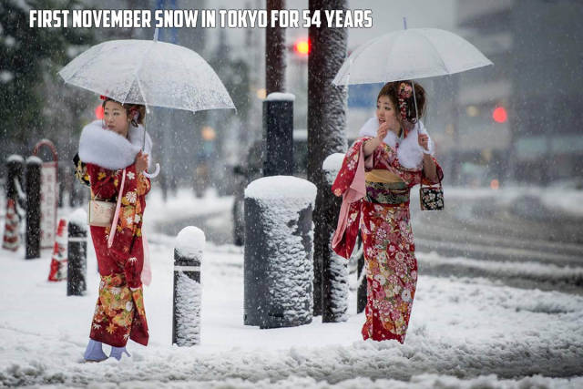 morning picdump 50 pics 2.html - 50 HD Photos | Premium Gallery 2016