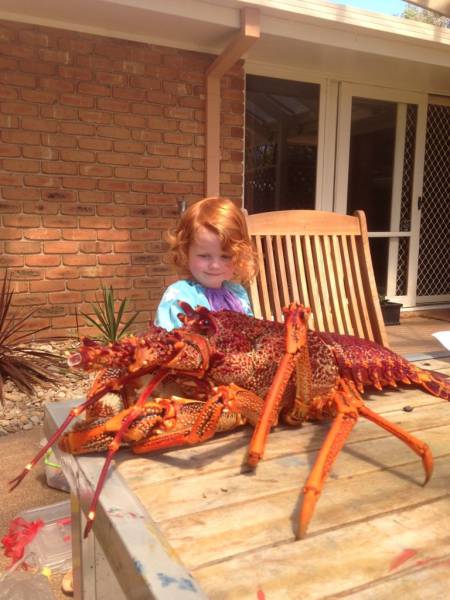 daily picdump 96 pics 47.html - 96 HD Photos | Premium Gallery 2016