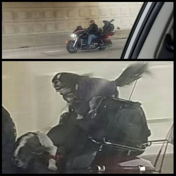 daily picdump 96 pics 47.html - 96 HD Photos | Premium Gallery 2016