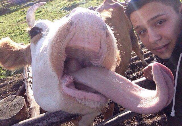 daily picdump 96 pics 47.html - 96 HD Photos | Premium Gallery 2016