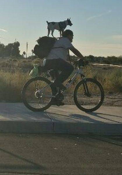 daily picdump 96 pics 47.html - 96 HD Photos | Premium Gallery 2016