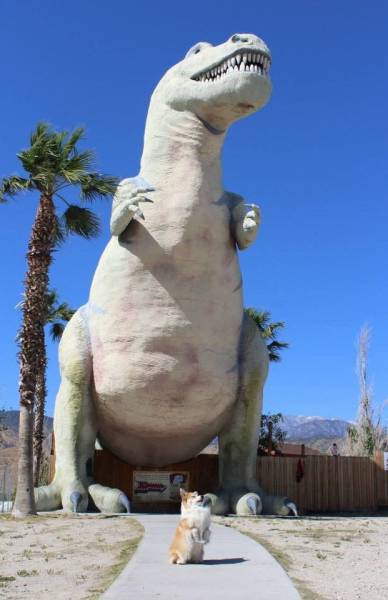 daily picdump 96 pics 47.html - 96 HD Photos | Premium Gallery 2016