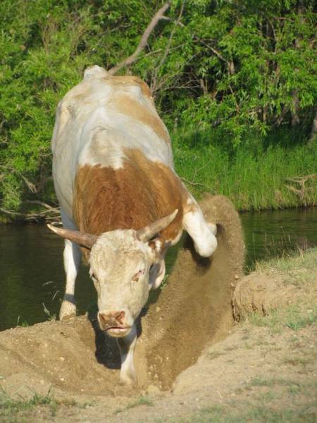 daily picdump 96 pics 47.html - 96 HD Photos | Premium Gallery 2016