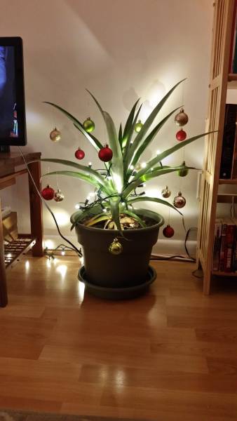 daily picdump 96 pics 47.html - 96 HD Photos | Premium Gallery 2016