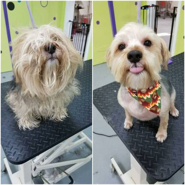 daily picdump 96 pics 47.html - 96 HD Photos | Premium Gallery 2016