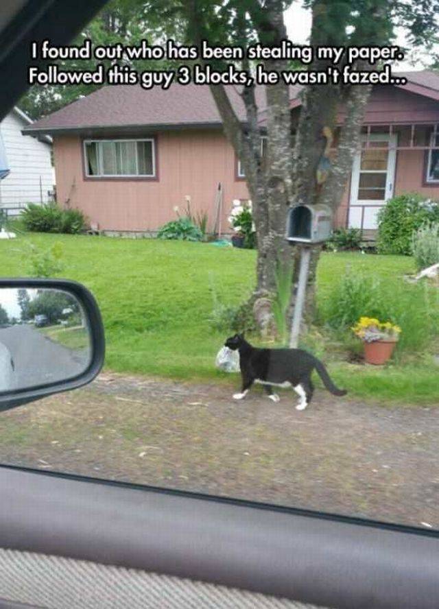 daily picdump 96 pics 47.html - 96 HD Photos | Premium Gallery 2016