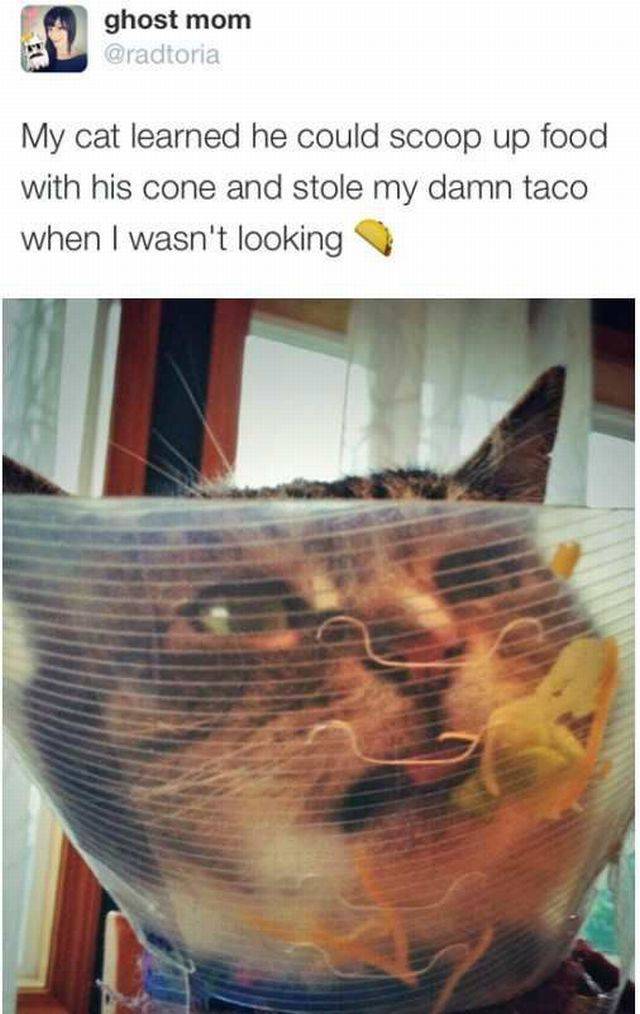 daily picdump 96 pics 47.html - 96 HD Photos | Premium Gallery 2016