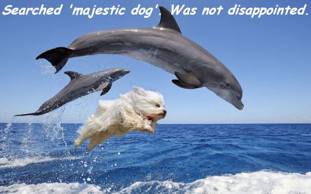 daily picdump 101 pics 21.html - 101 HD Photos | Premium Gallery 2016