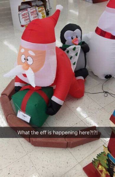 daily picdump 101 pics 21.html - 101 HD Photos | Premium Gallery 2016