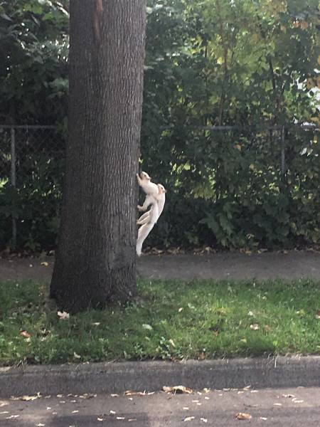 daily picdump 101 pics 21.html - 101 HD Photos | Premium Gallery 2016