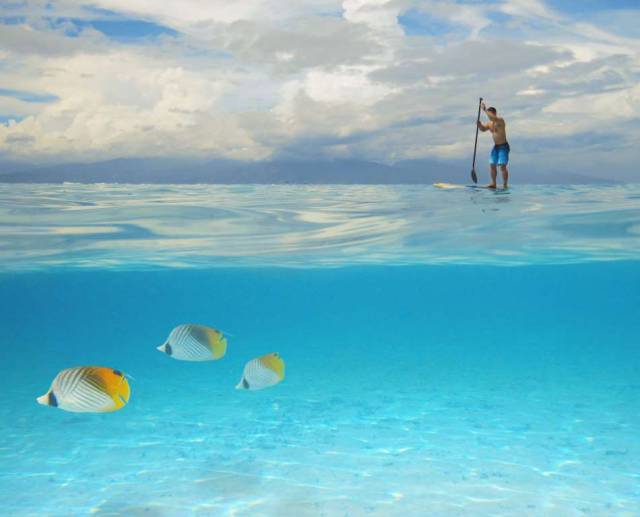 daily picdump 101 pics 21.html - 101 HD Photos | Premium Gallery 2016