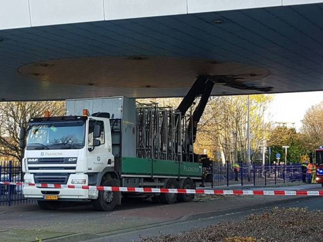 daily picdump 101 pics 21.html - 101 HD Photos | Premium Gallery 2016