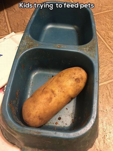 daily picdump 94 pics 33.html - 94 HD Photos | Premium Gallery 2016