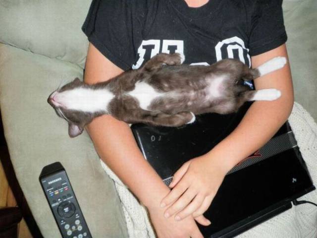 daily picdump 94 pics 33.html - 94 HD Photos | Premium Gallery 2016