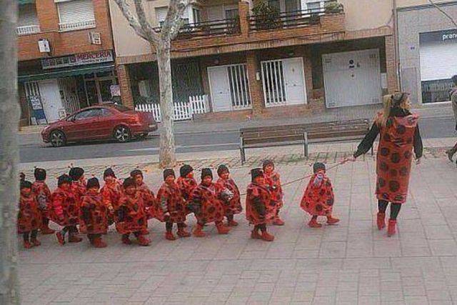 daily picdump 94 pics 33.html - 94 HD Photos | Premium Gallery 2016