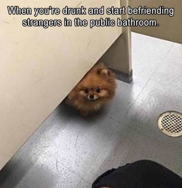 daily picdump 94 pics 33.html - 94 HD Photos | Premium Gallery 2016