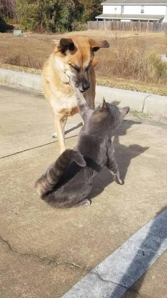 daily picdump 94 pics 33.html - 94 HD Photos | Premium Gallery 2016