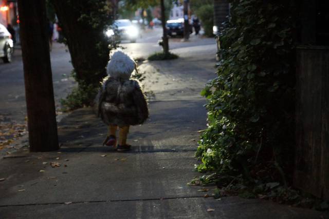 daily picdump 94 pics 33.html - 94 HD Photos | Premium Gallery 2016