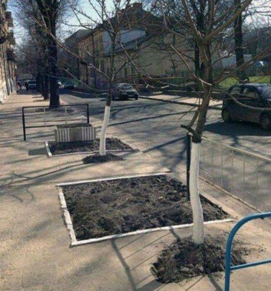 daily picdump 94 pics 33.html - 94 HD Photos | Premium Gallery 2016