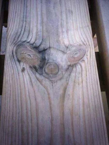 daily picdump 94 pics 33.html - 94 HD Photos | Premium Gallery 2016