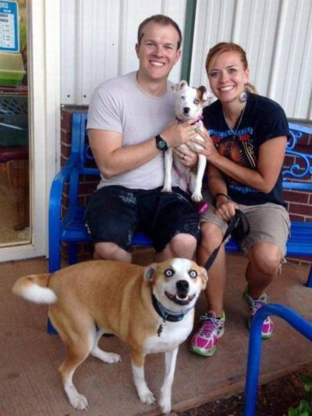 daily picdump 94 pics 33.html - 94 HD Photos | Premium Gallery 2016