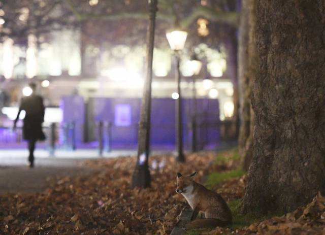 daily picdump 94 pics 33.html - 94 HD Photos | Premium Gallery 2016