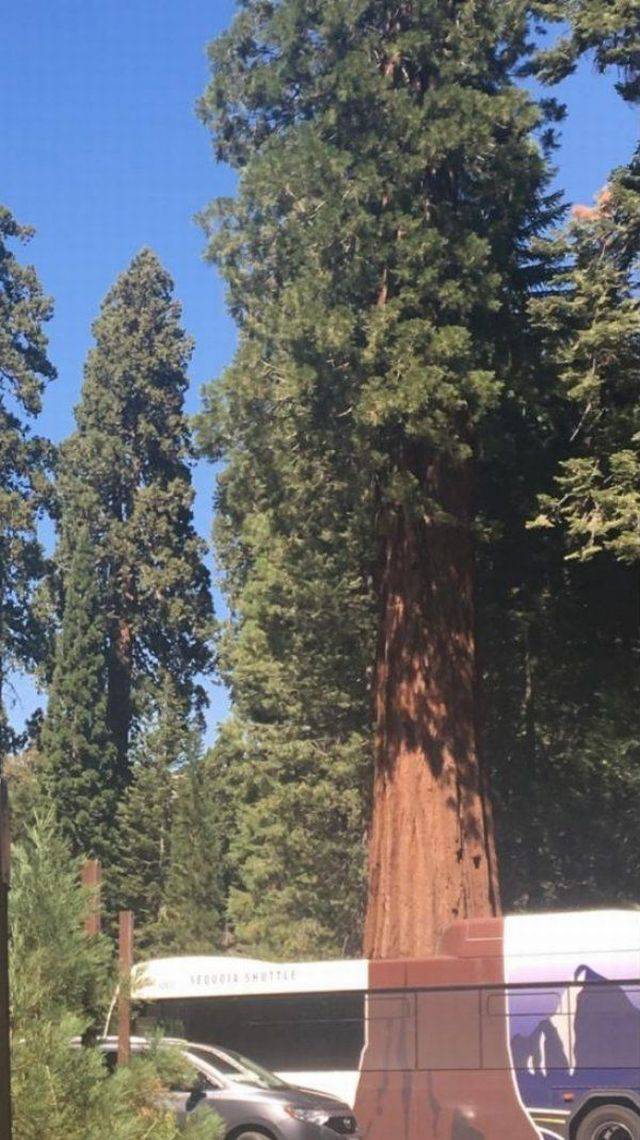 daily picdump 94 pics 33.html - 94 HD Photos | Premium Gallery 2016