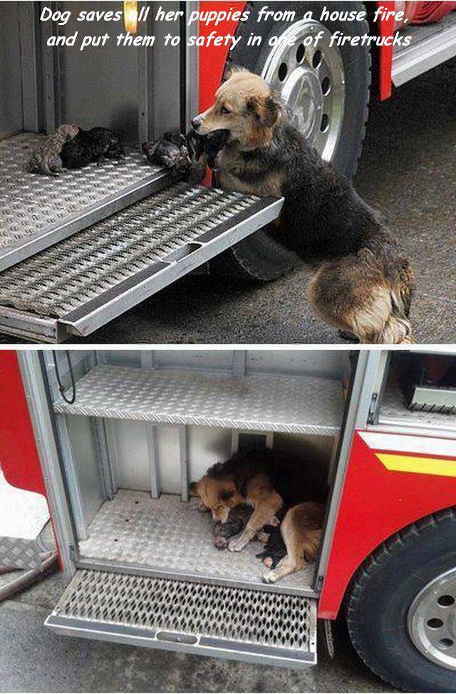 daily picdump 94 pics 33.html - 94 HD Photos | Premium Gallery 2016