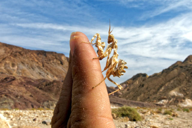 morning picdump 54 pics 17.html - 54 HD Photos | Premium Gallery 2016