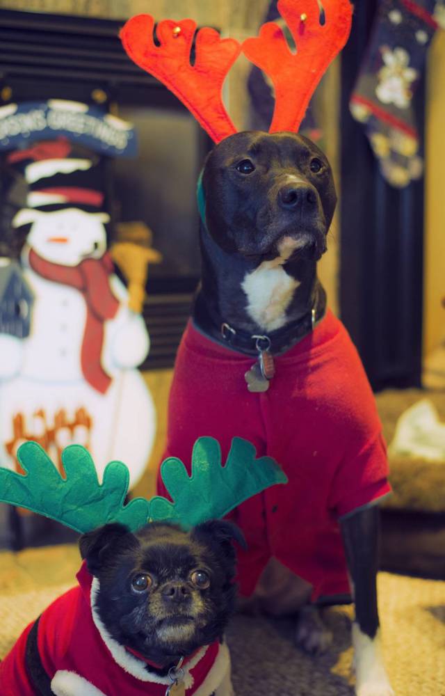 morning picdump 54 pics 17.html - 54 HD Photos | Premium Gallery 2016