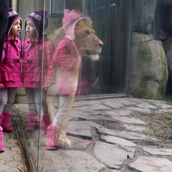 morning picdump 54 pics 17.html - 54 HD Photos | Premium Gallery 2016