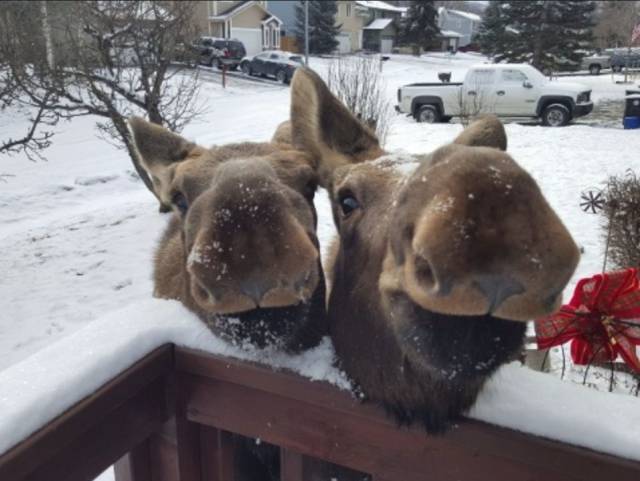 daily picdump 99 pics 29.html - 99 HD Photos | Premium Gallery 2016