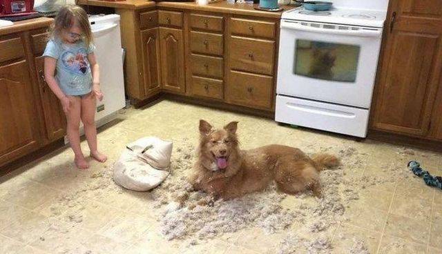 daily picdump 99 pics 29.html - 99 HD Photos | Premium Gallery 2016