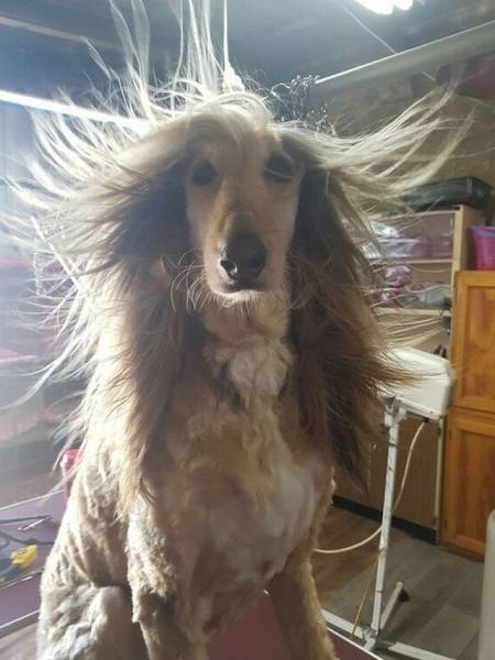 daily picdump 99 pics 29.html - 99 HD Photos | Premium Gallery 2016