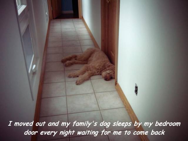 daily picdump 99 pics 29.html - 99 HD Photos | Premium Gallery 2016