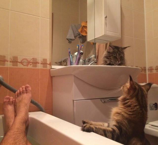 daily picdump 99 pics 29.html - 99 HD Photos | Premium Gallery 2016