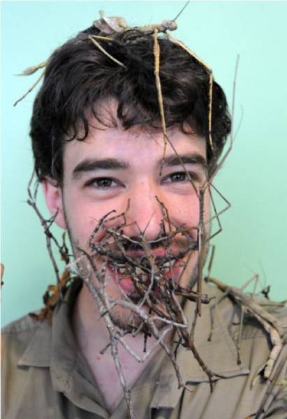 daily picdump 99 pics 29.html - 99 HD Photos | Premium Gallery 2016