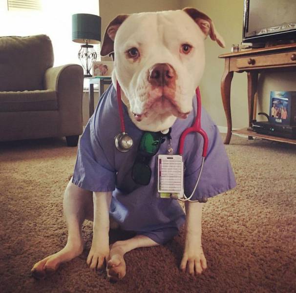 daily picdump 99 pics 29.html - 99 HD Photos | Premium Gallery 2016