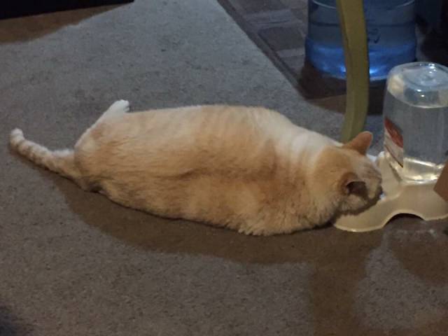 morning picdump 51 pics 1.html - 51 HD Photos | Premium Gallery 2016