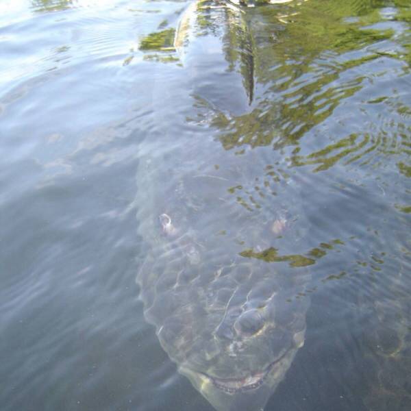 morning picdump 51 pics 1.html - 51 HD Photos | Premium Gallery 2016