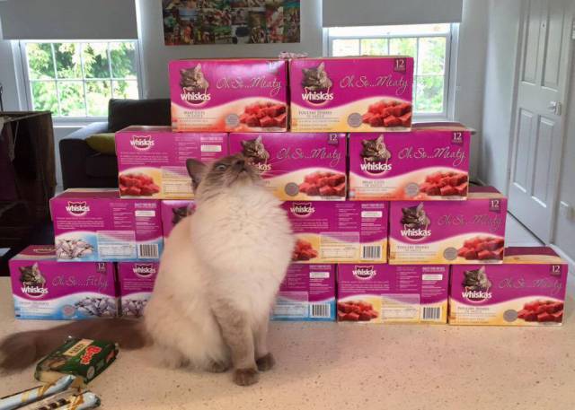 morning picdump 51 pics 1.html - 51 HD Photos | Premium Gallery 2016