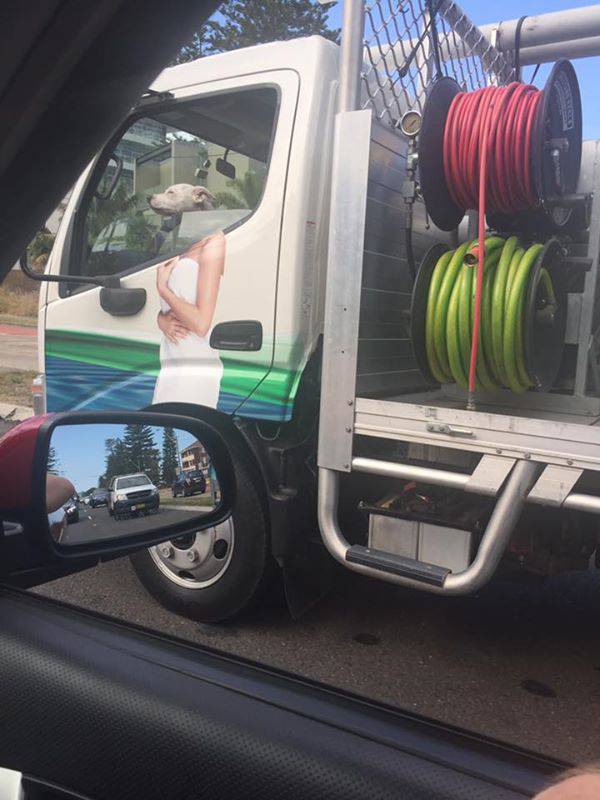 morning picdump 51 pics 1.html - 51 HD Photos | Premium Gallery 2016