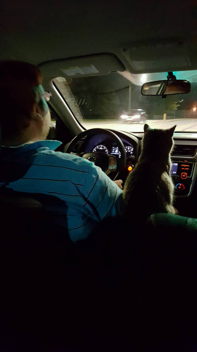 morning picdump 51 pics 1.html - 51 HD Photos | Premium Gallery 2016