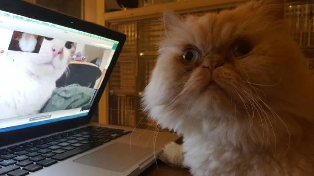 daily picdump 94 pics 44.html - 94 HD Photos | Premium Gallery 2016