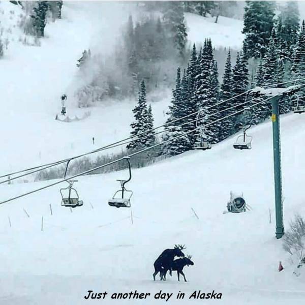 daily picdump 94 pics 44.html - 94 HD Photos | Premium Gallery 2016