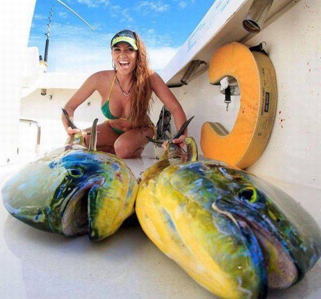 daily picdump 94 pics 44.html - 94 HD Photos | Premium Gallery 2016