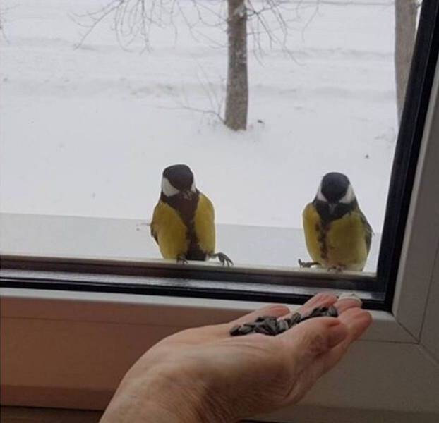 daily picdump 94 pics 44.html - 94 HD Photos | Premium Gallery 2016