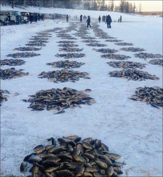 daily picdump 94 pics 44.html - 94 HD Photos | Premium Gallery 2016