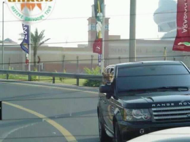 morning picdump 51 pics 17.html - 51 HD Photos | Premium Gallery 2016