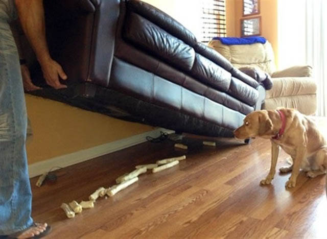 morning picdump 51 pics 17.html - 51 HD Photos | Premium Gallery 2016